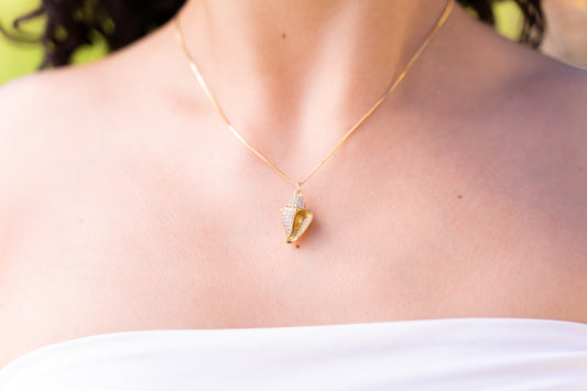 Collar Caracola